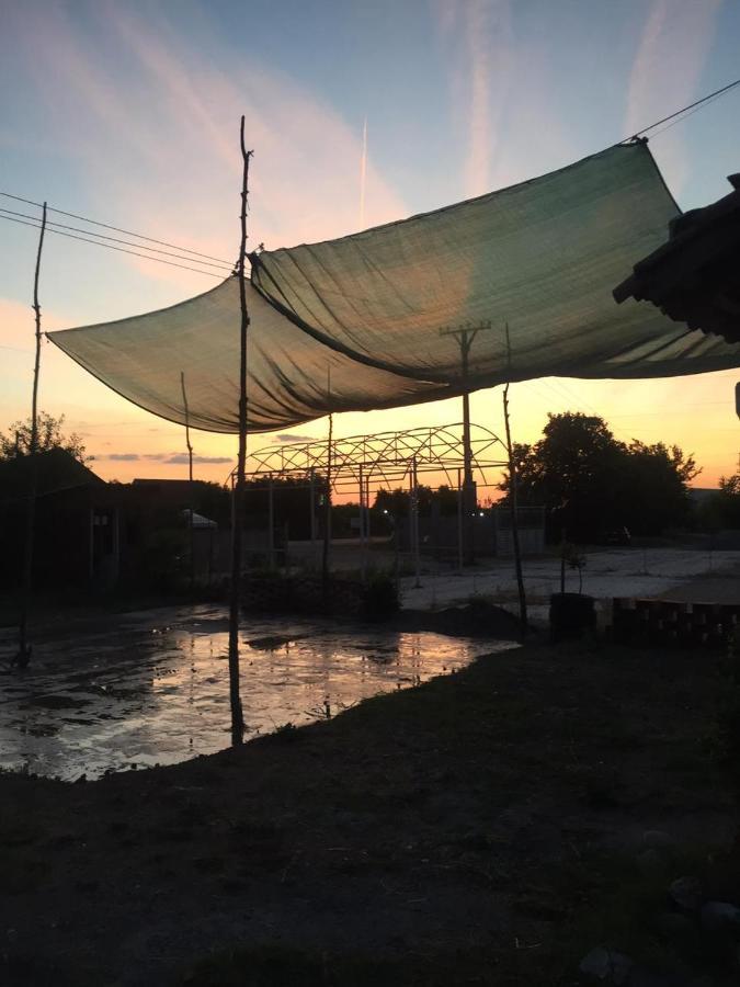 Anza Camping Shkodër エクステリア 写真