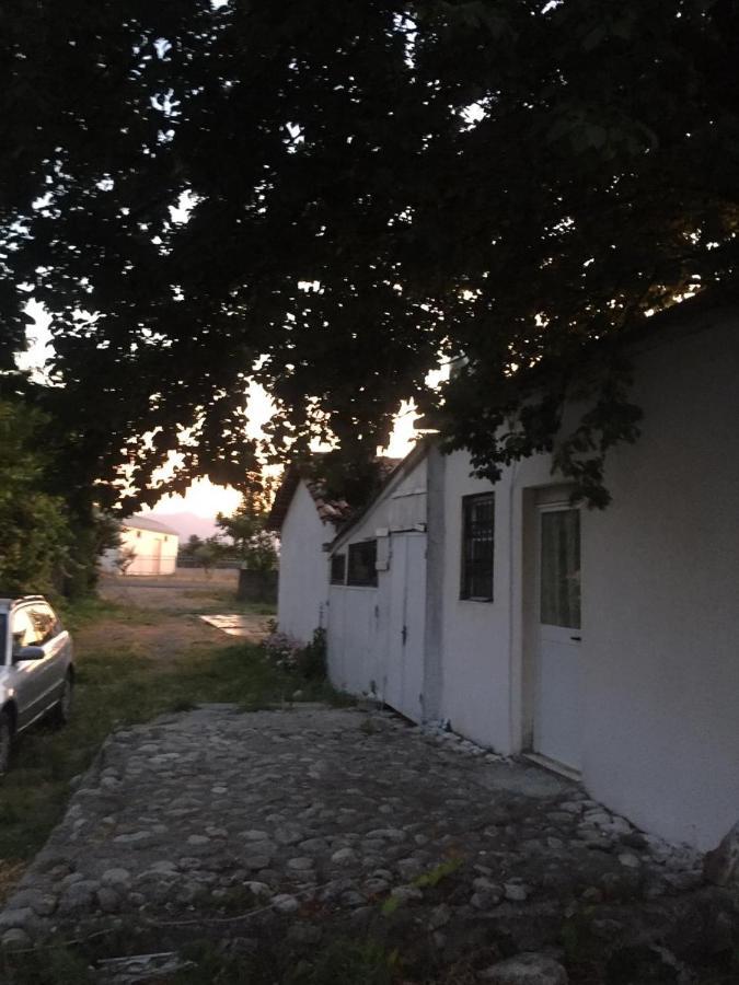 Anza Camping Shkodër エクステリア 写真
