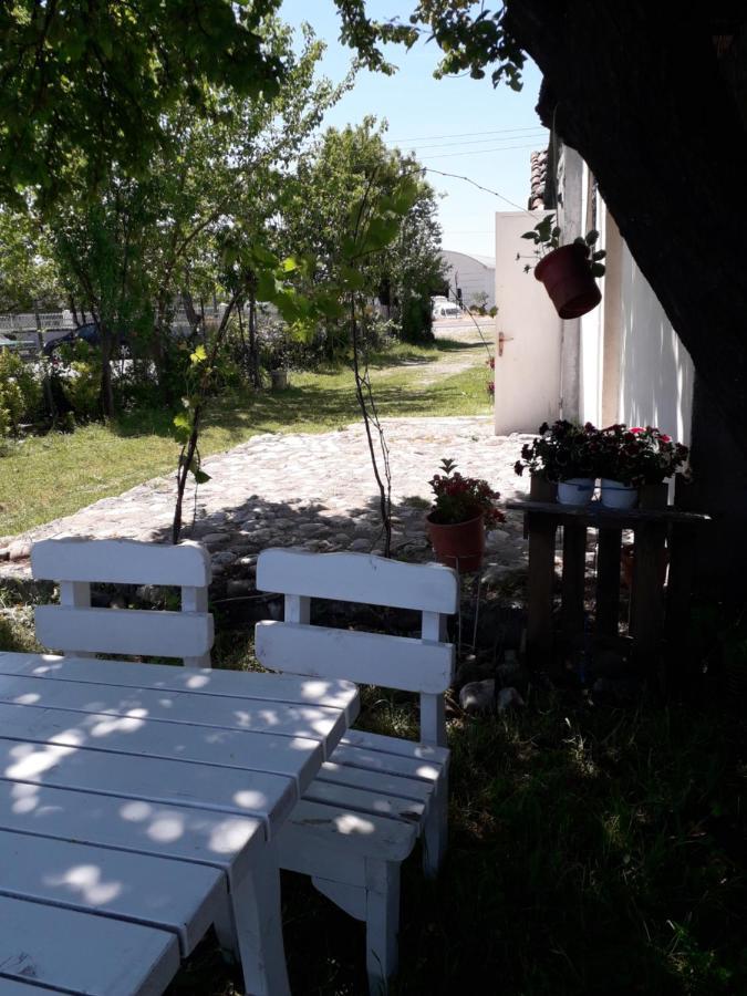 Anza Camping Shkodër エクステリア 写真