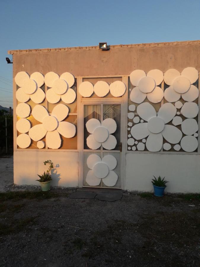 Anza Camping Shkodër エクステリア 写真